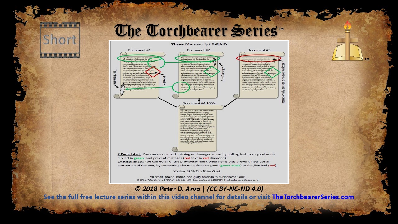 B-RAID Diagram 3 - Prevent Damage and Mistakes - Short