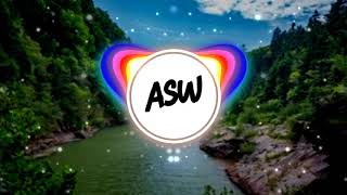 Asw Remix-Hooked