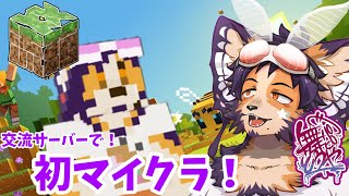 【#minecraft】初見プレイでマルチサーバーいっちゃうボクはマインパピとうやってわけ【舞パピとうや／インキュバスVtuber】