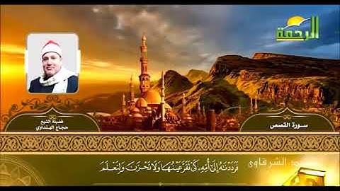 الشيخ حجاج الهنداوي سورة القصص