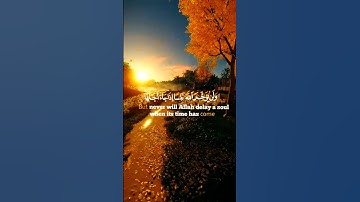 تلاوة هادئة مطمئنة 🌿من سورة المنافقون 🌿للقارئ شريف مصطفى 🌿