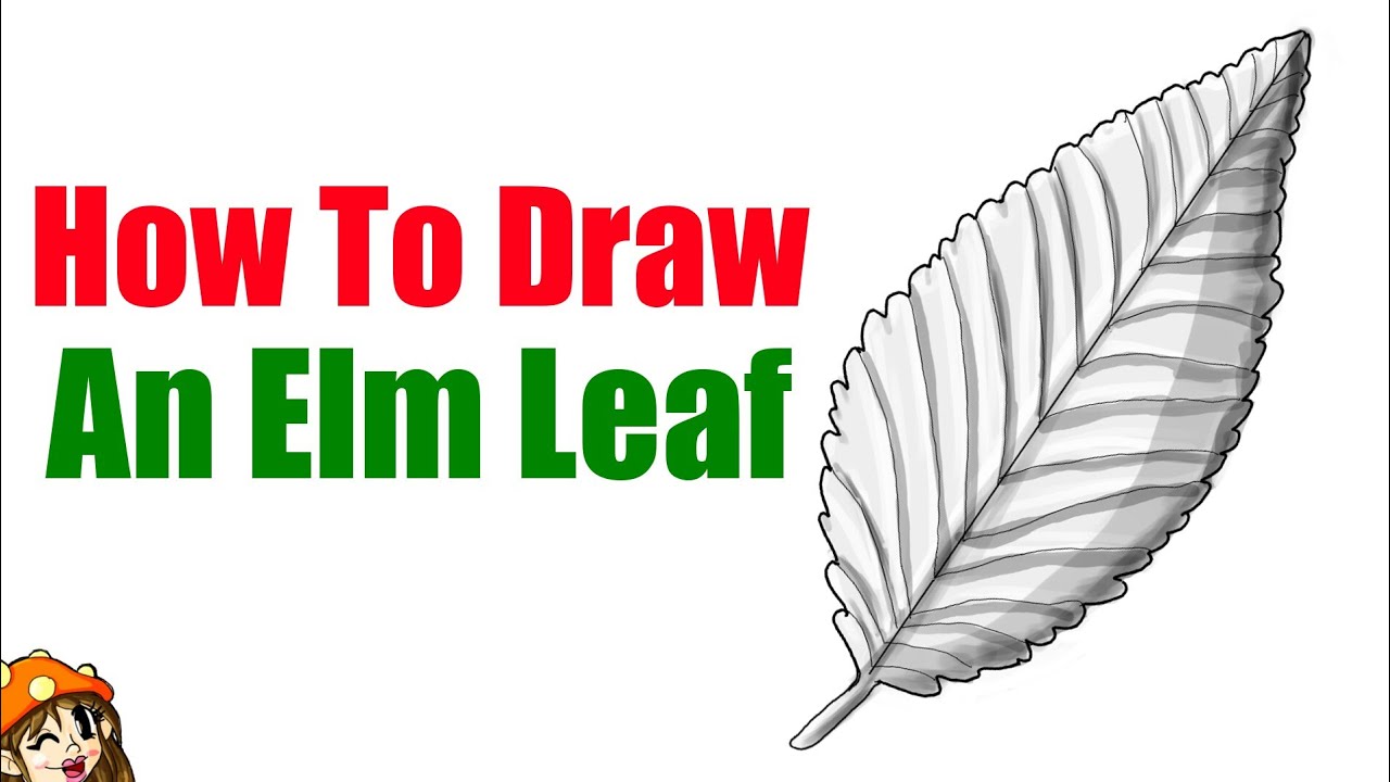 How to Draw an Elm Leaf, Tutorial! - Painting With Parasolia - YouTube