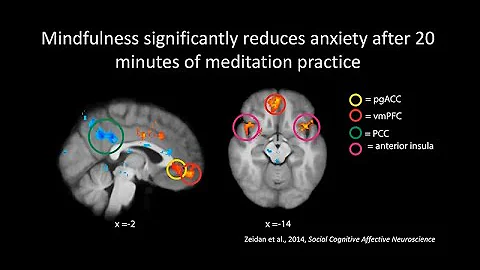 The Neuroscience of Meditation, Mindfulness, and Compassion
