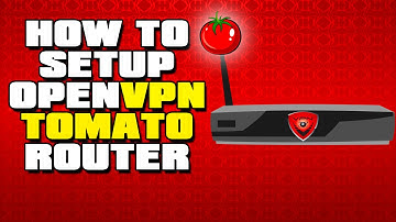 How to setup OpenVPN on a Tomato Router | VPNReactor
