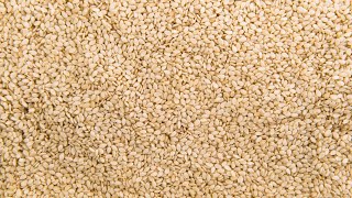 If You Eat Sesame Seeds Every Day, This Will Happen To Your Body