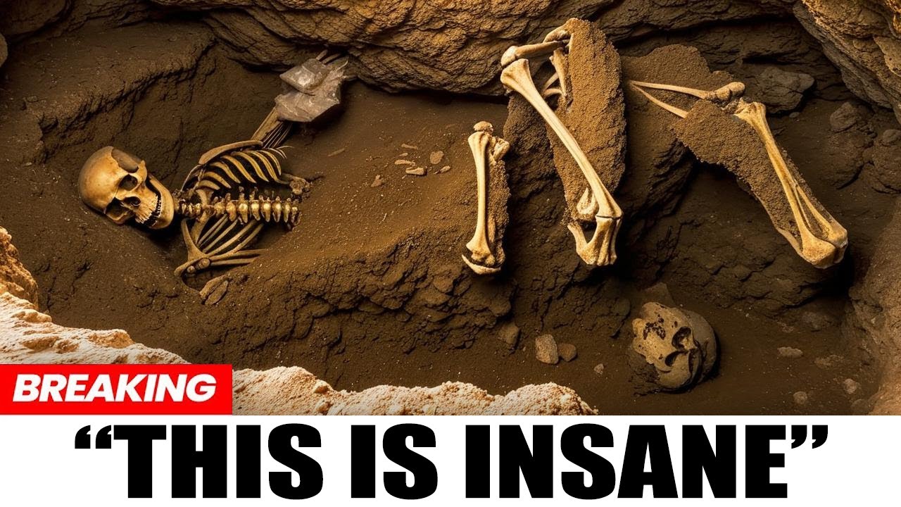 Ancient DNA Reveals the REAL Origin of the Black Irish