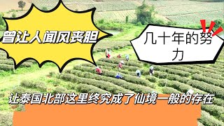 曾经的毒品泛滥的地区！如今在泰国国王与本地华人的努力下！成为来了不想走的仙境之地