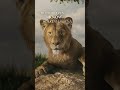 Mufasa The Lion King Get Tickets Now In Theaters December 20 mp3