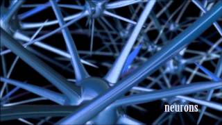 Gong Chen research - brain trauma