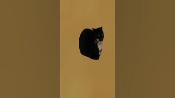 Microscopic Maxwell Cat Nextbot is After Me in GMod - Can I Escape the Madness? #shorts