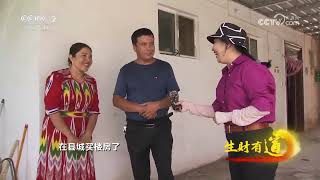 《生财有道》 20230928 边疆新梅新财路| 财经风云