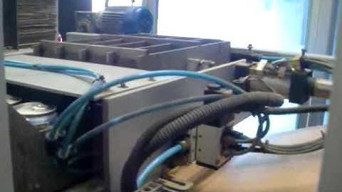 ZX-20T YOUNGSUN Drop Type Case Packer for Beer