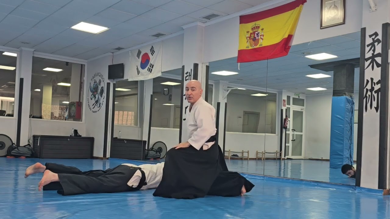 Aikido Sevilleja: Katate Dori - Ikkyo Omote. Explicación detallada.