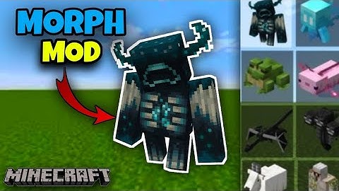 Minecraft Morph Mod|#morphmod #minecraft #micpengaming