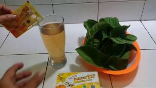 6 manfaat  dari minum rebusan daun jambu biji plus madu yang bikin kta takjub