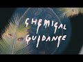 Capture de la vidéo Vacation Forever - Chemical Guidance [Official Video]