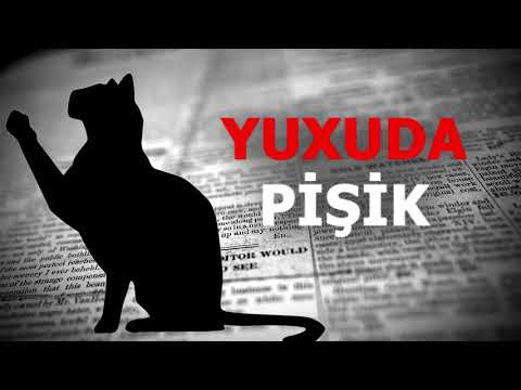 Video: Yasəmən Pişik Nə Deməkdir