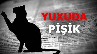 Pisik yuxuda ne mena verir. Yuxuda pişik görmək necə yozulur?