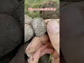 #metaldetecting #metaldetect #metaldetectingfinds  #onthisday