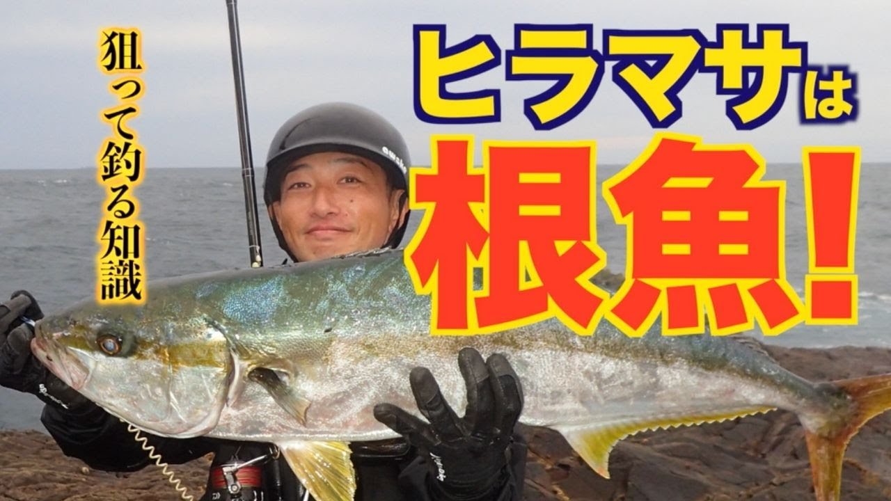 青物 ヒラマサの釣り方 ヒラマサは根魚だ と思う5つの理由を把握する Youtube