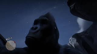 Gorilla on fire (RDR2) screenshot 2