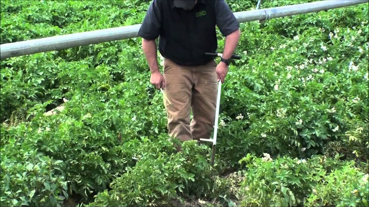 AMS, Inc. Regular Soil Step Probe