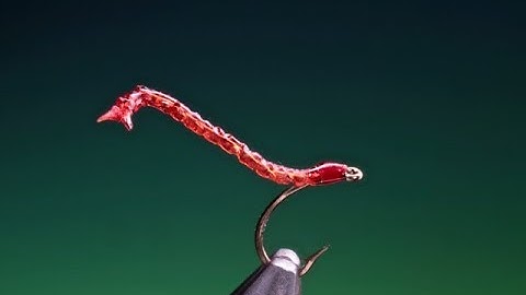 Tying a free swimming blood worm with Barry Ord Clarke