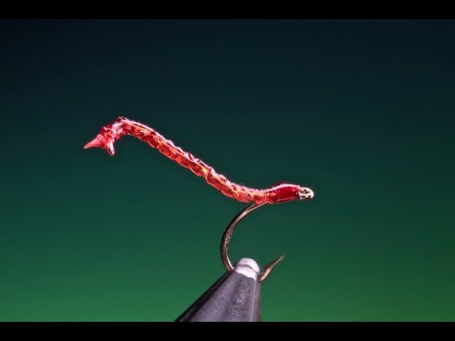 Apps Bloodworm Trout Flies - Size 10, Red & Gold, 6 Pack, For Fly Fishing Apps Bloodworm Trout Flies - Size 10, Red & Gold, 6 Pack, For Fly Fishing