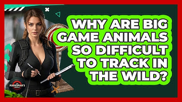 Why Are Big Game Animals So Difficult To Track In The Wild? - The Marksman