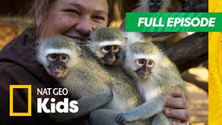 my best friend s animal full episode 4k rescued besties
