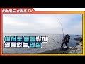 여서도 돌돔낚시 쉴틈없는 입질!인형뽑기하듯 쭉쭉 뽑는 돌돔 조황 rock bream Fishing(イシダイ)