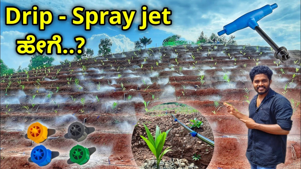 ಅಡಿಕೆ ತೋಟಕ್ಕೆ ನೀರಾವರಿ ಹೀಗೆ ಮಾಡಿ. Takeoff ಸುಲಭವಾಗಿ ಅಳವಡಿಸುವ ವಿಧಾನ. Drip, Spray jet irrigation