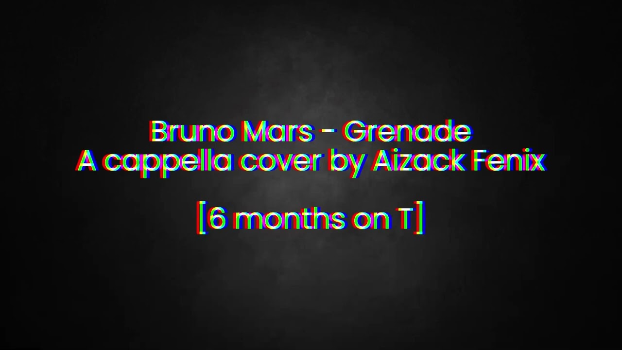 Bruno Mars - Grenade // (A cappella Cover) (Aizack Fenix) // [6 Months on T]
