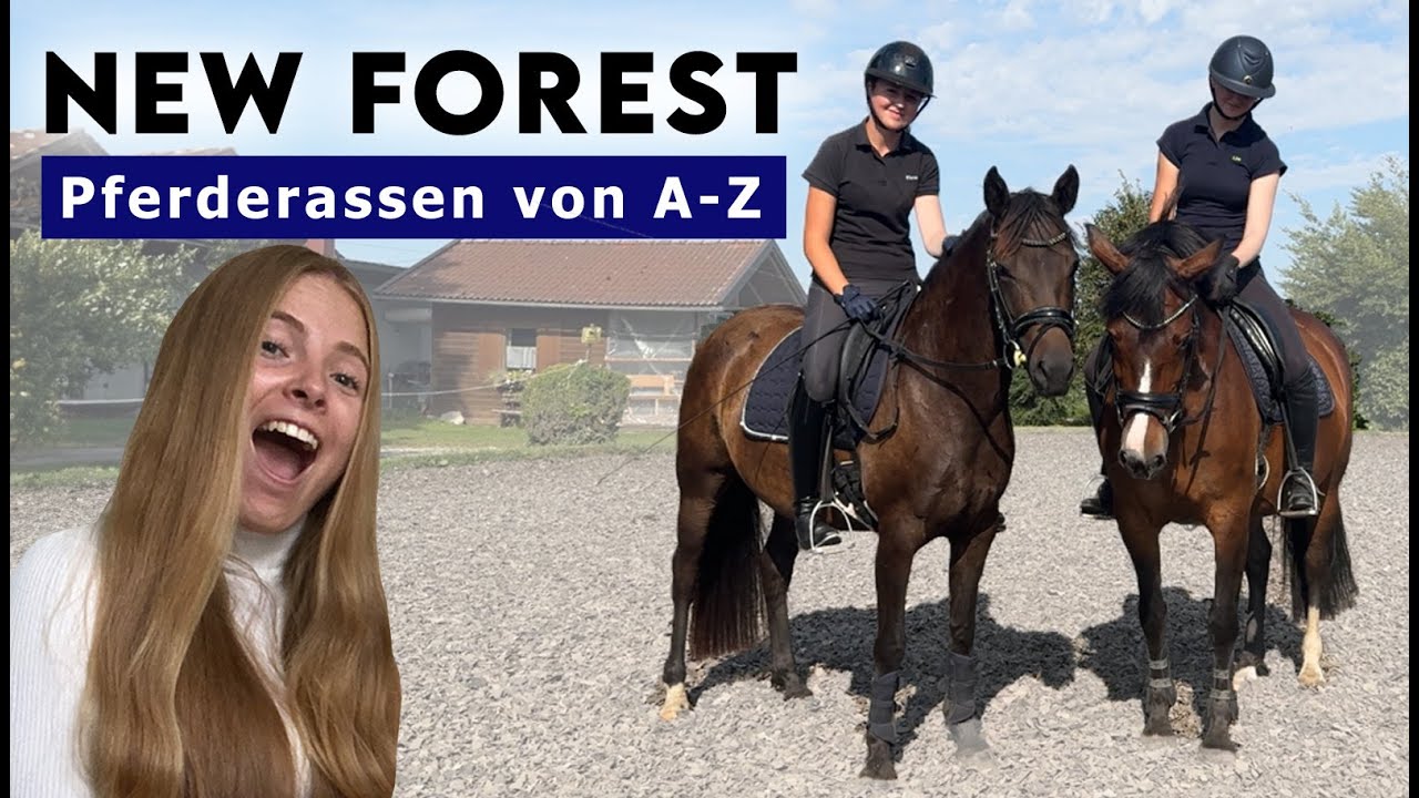 Pferderassen von A-Z | NEW FOREST PONY - Gestüt Sakolei 😍