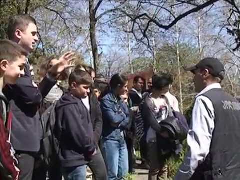 იმიტირებული დანაშაული გახსნილია.