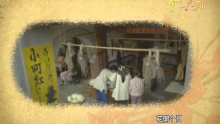 「新丁花開」片尾曲「想飛」MV