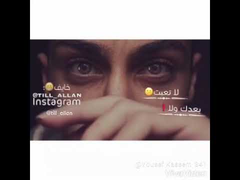 فديو واتس كفي نفسك انا عوت دموعي متمسحهاش الا اديا يوسف قاسم