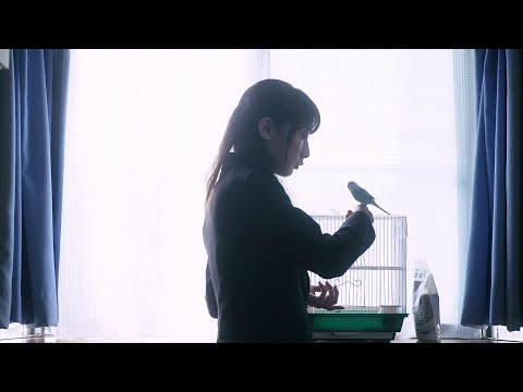 予告編【親鳥よ、静かに泣け  45秒ver】