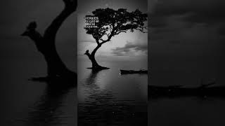 Herkes Beyaz Bir Ben Mi Karayım