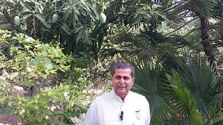 ज्ञान सरोवर , आबू पर्वत से दिल में छपने वाली आज 22 मई की मुरली की गहराई।#आजकीमुरली #bkbharatbhushan 