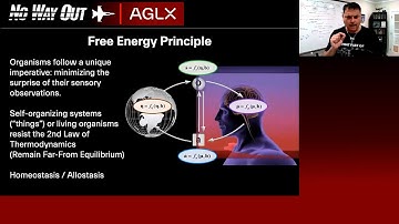 OODA Loop Explained: Connections: Free Energy Principle, Active Inference, and the Constructal Law