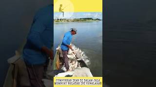 Ikan Melimpah Dalam Jala Jadi Sulit Di Angakat