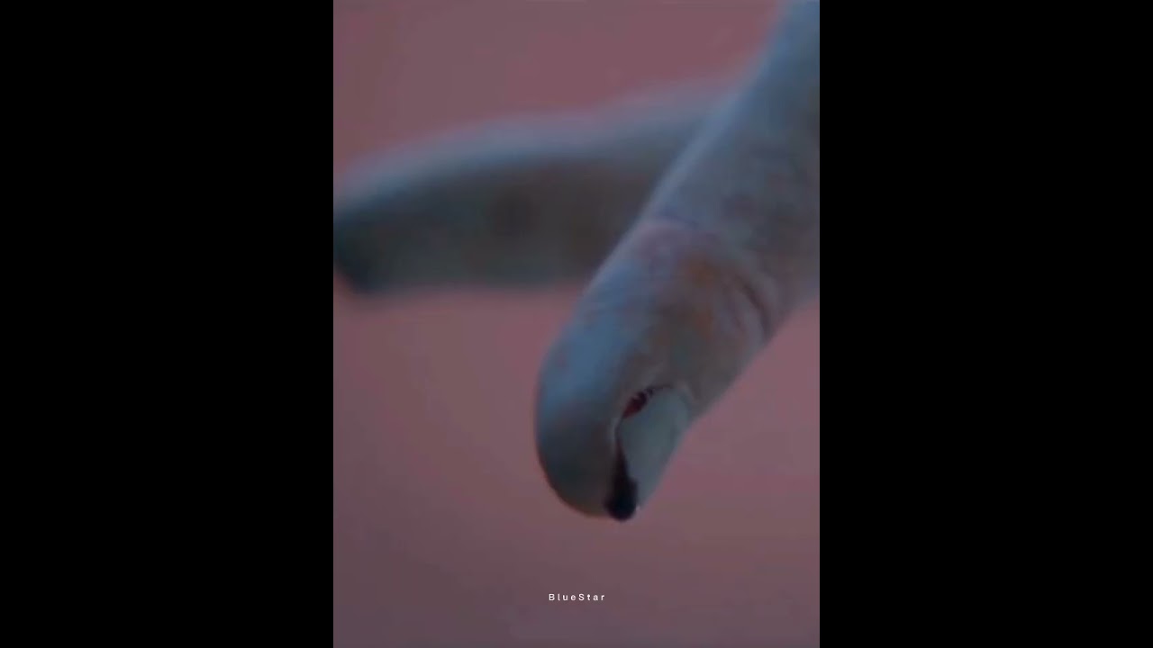 So scary!!😈 The statue is a person😱 | Connect Kdrama 