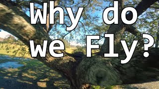 Why Do We Fly FPV Freestyle?