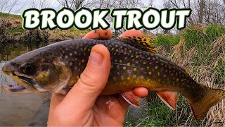 Catching Brook Trout with Inline Spinners