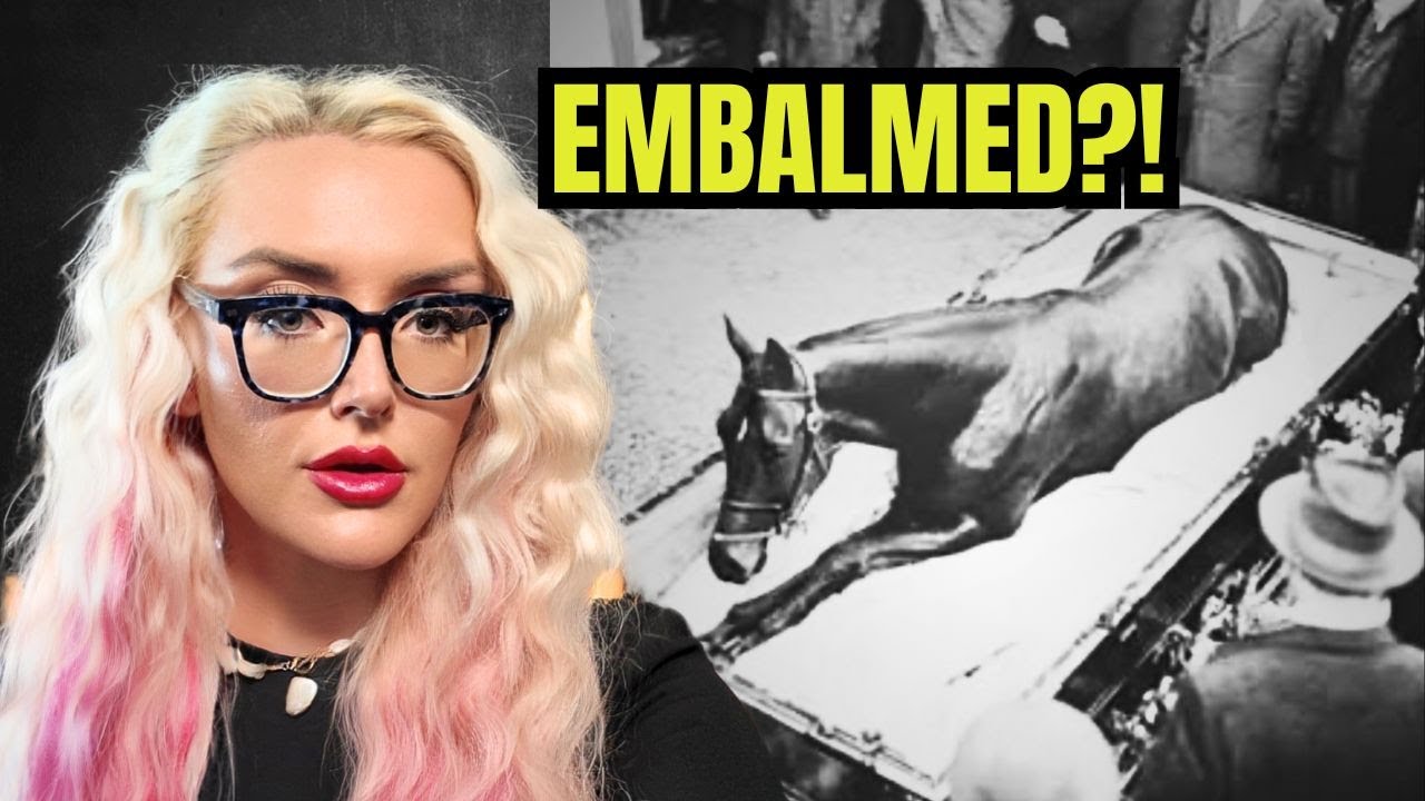 Они забальзамировали лошадь: странные похороны морского лебедя