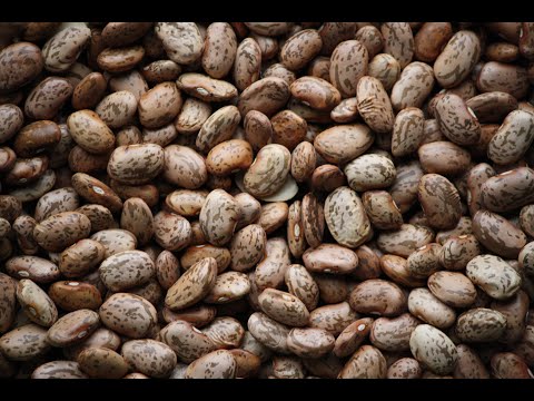 Video: Canned Red Bonduelle Beans - Calorie Content, Useful Properties, Nutritional Value, Vitamins