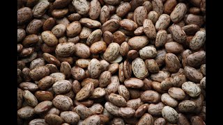 Pinto Beans 101 - Nutrition and Health Benefits
