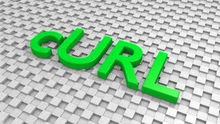 URL Requests with cURL and Chrome Console Profile