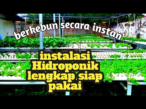 instalasi ihidroponiki iDFTi idani iNFTi solusi hemat lahan idani instalasi ihidroponiki iDFTi idani iNFTi solusi hemat lahan idani